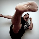 day 162 Karate Kick, by Hoggheff